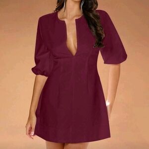 Elegant Burgundy Dress